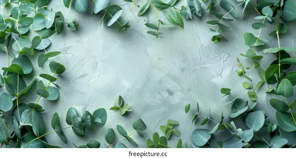 Fresh green eucalyptus leaves on a light green concrete background