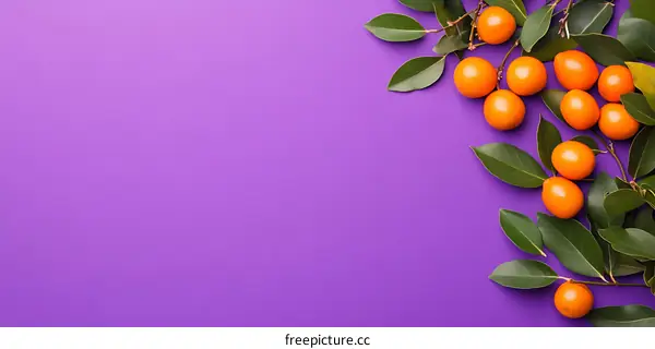 Orange Kumquat Fruit with Green Leaves on Purple Background