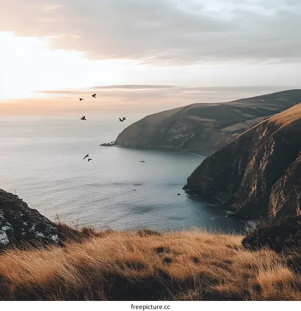 Birds Flying Over Coastal Landscape at Sunset