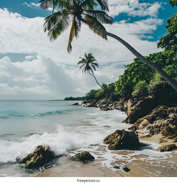 Tropical Beach with Palm Trees and Ocean Waves