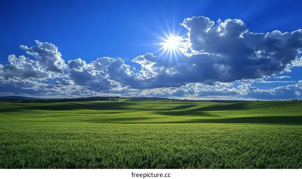 Vast Green Field Under a Majestic Sky