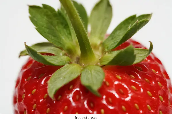 Close-up of a fresh red strawberry with green leaves on top