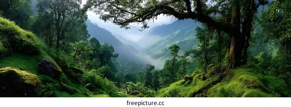 Misty Mountain Valley Landscape