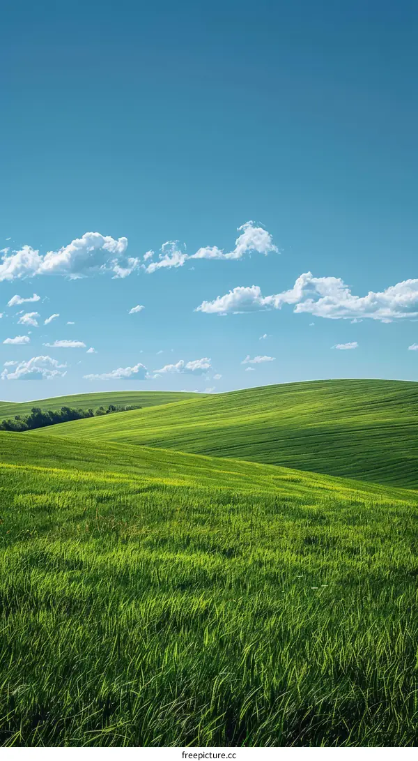 Green rolling hills under blue sky and white clouds