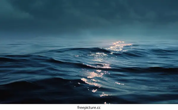 Ocean Waves at Dusk