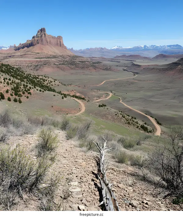 Winding Road Through Desert Landscape With Mountain Peaks in the Distance