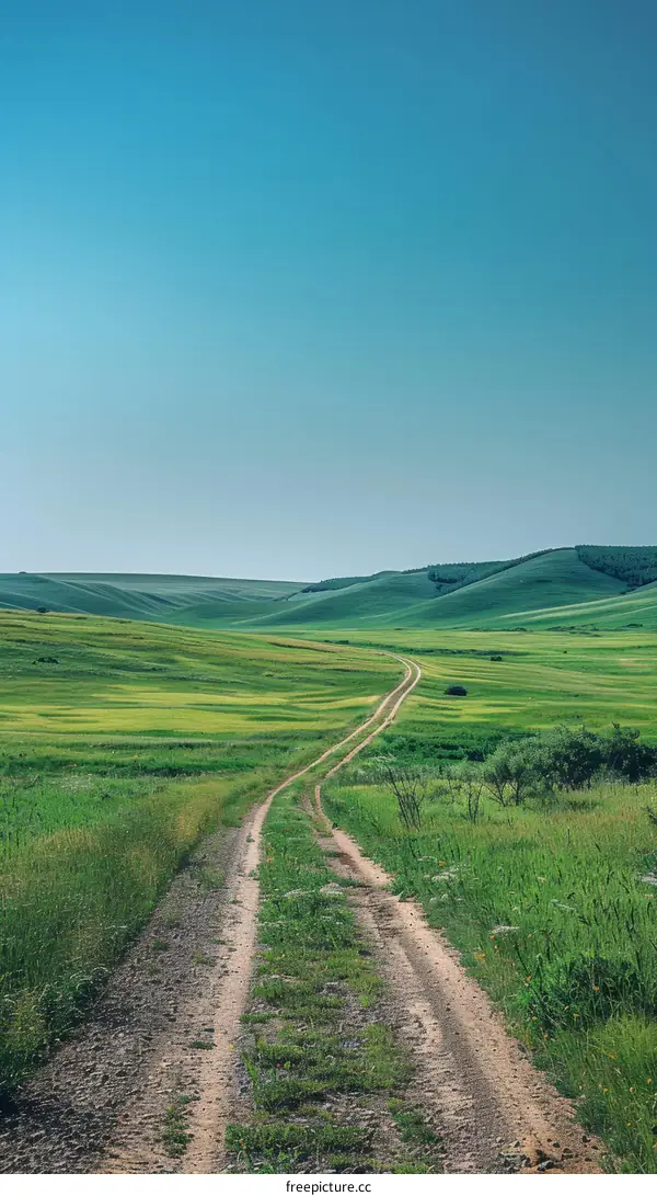 dirt road through a lush green grassy hill