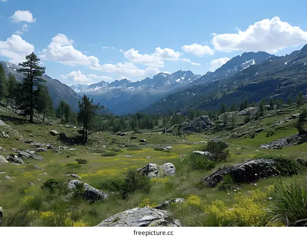 Alpine Meadow with Wildflowers and Mountain Views