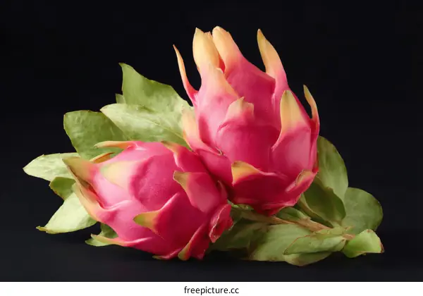 Close Up of Two Dragon Fruits with Leaves