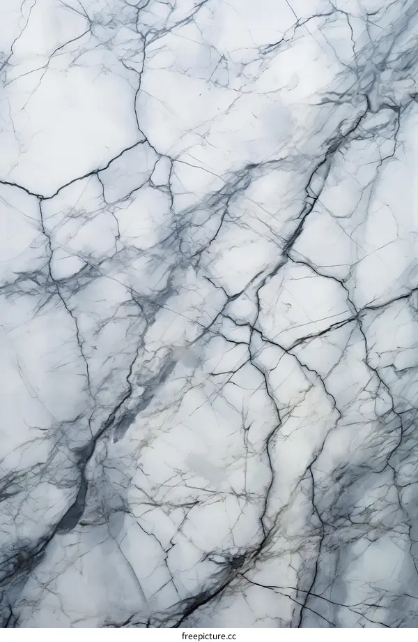 Black and white marble texture background