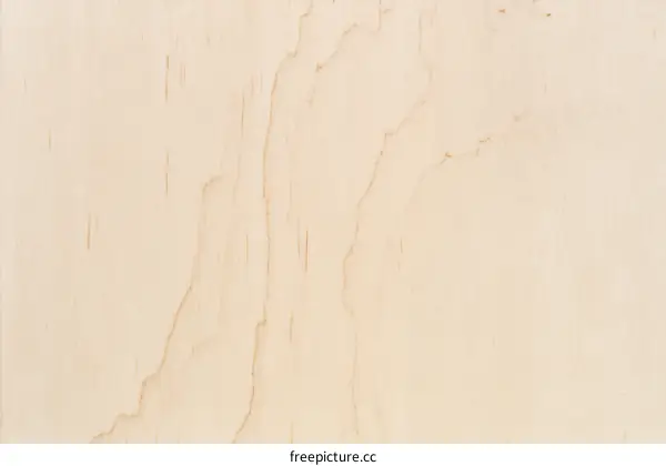 Closeup Light Beige Wooden Panel Texture