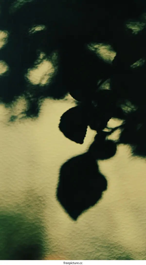 Abstract Shadowy Leaf Patterns on a Texture Background