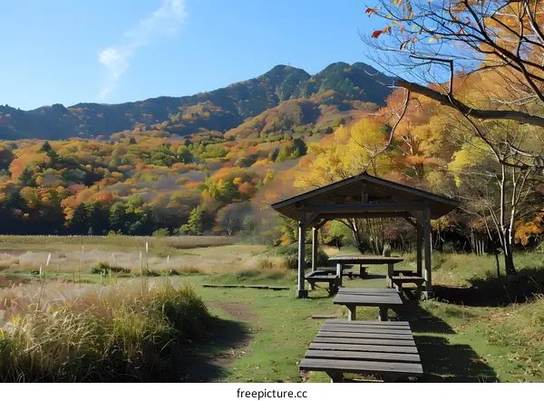 Wooden hut in a field with a mountain in the distance