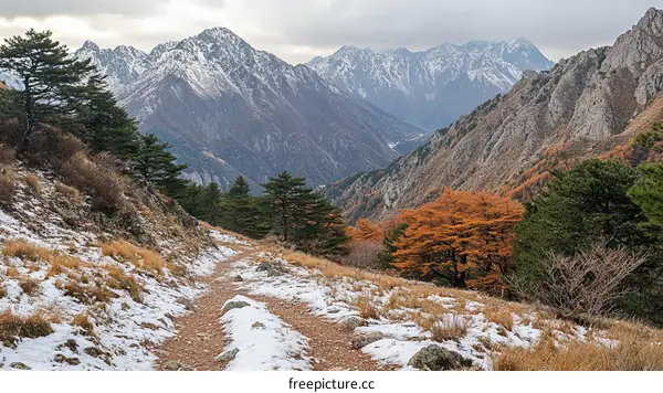 Autumn Mountain Path with Snow and Colorful Trees