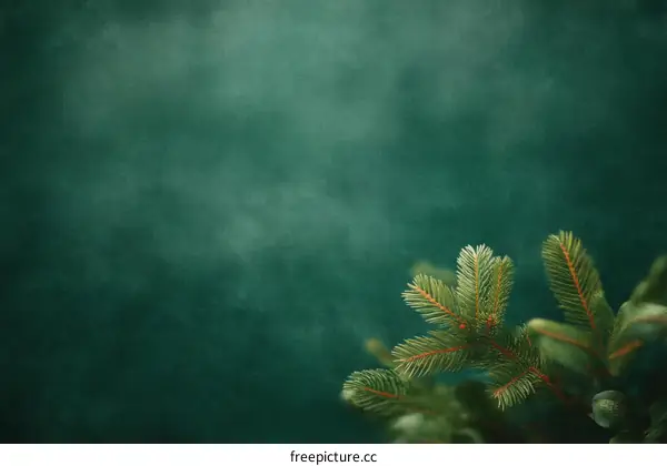 Emerald Green Background with Fir Branch Detail