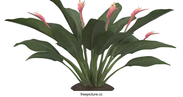 [Transparent Background PNG]Beautiful Green Tropical Plant with Pink Flowers