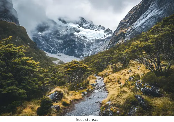 Mountain Path Leading to Snow Covered Peak