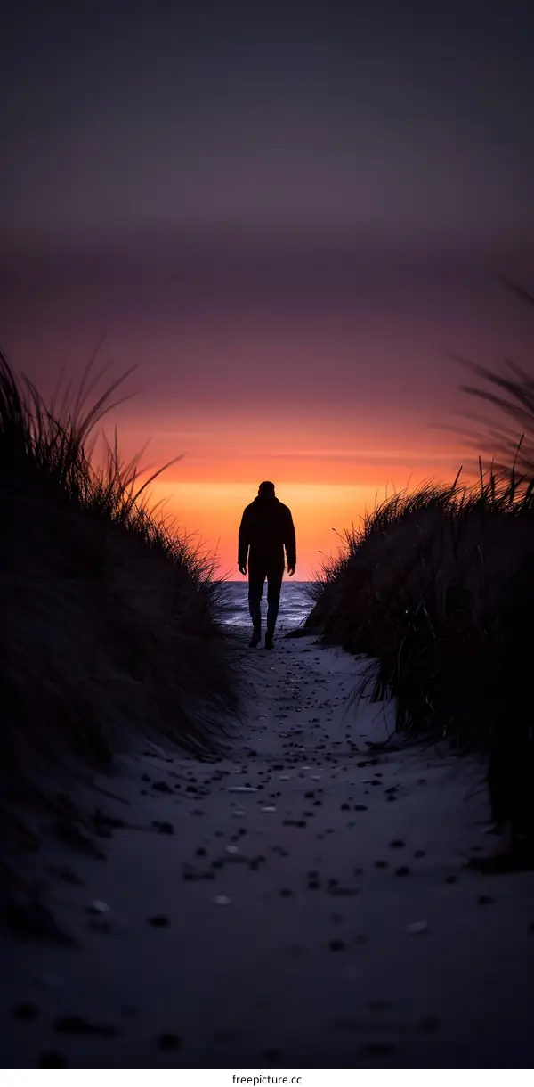 Man Walking Towards the Sunset on the Beach