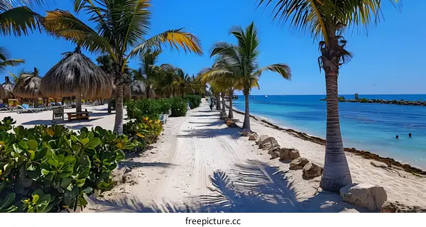 sandy beach next to the blue ocean with palm trees
