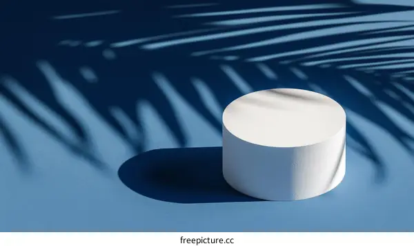 Modern Minimalist Product Display with Palm Leaf Shadow