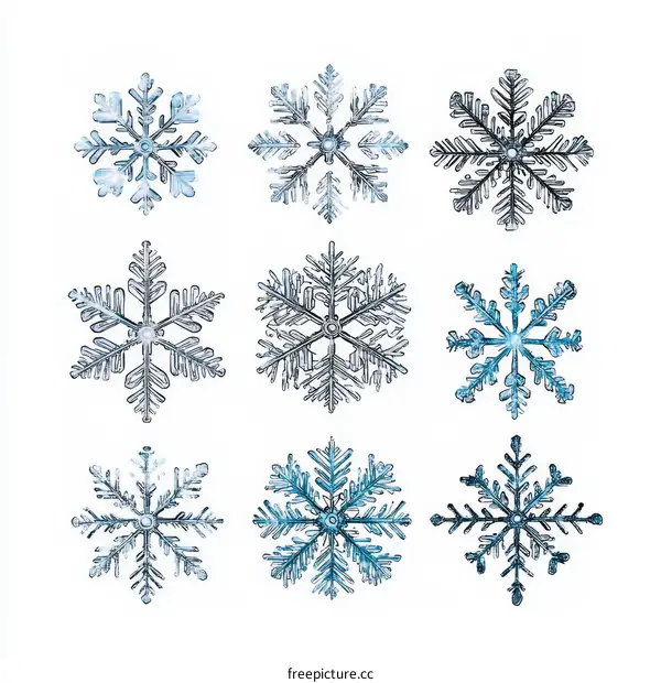 Beautiful Snowflake Collection