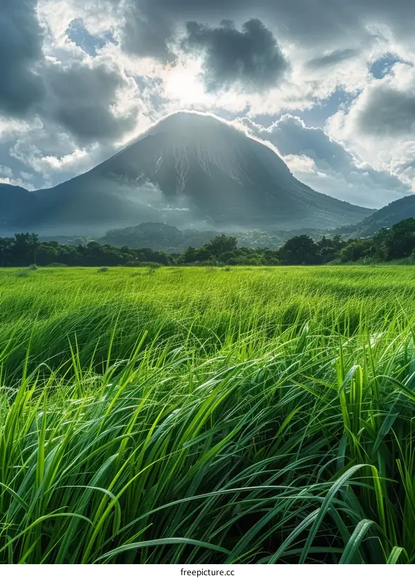 Panoramic Landscape of a Lush Green Grassy Field with Majestic Mountains in the Distance