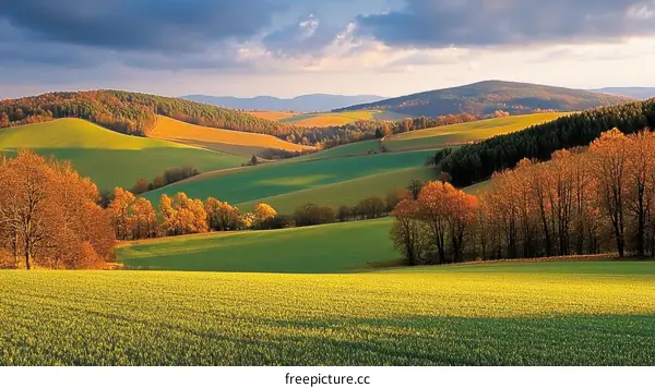 Autumnal Hills and Fields Scenic Landscape