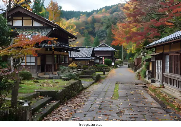 An old street in Japan with traditional houses and autumn leaves