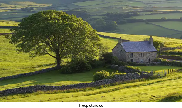 Rural Landscape with Stone Cottage and Lush Green Fields