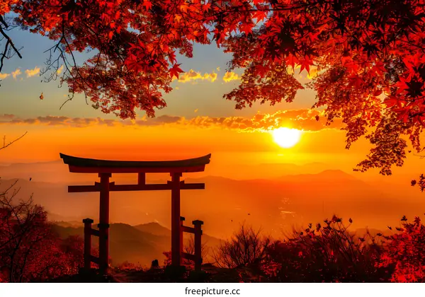 Japanese Torii Gate at Sunset with Autumn Leaves