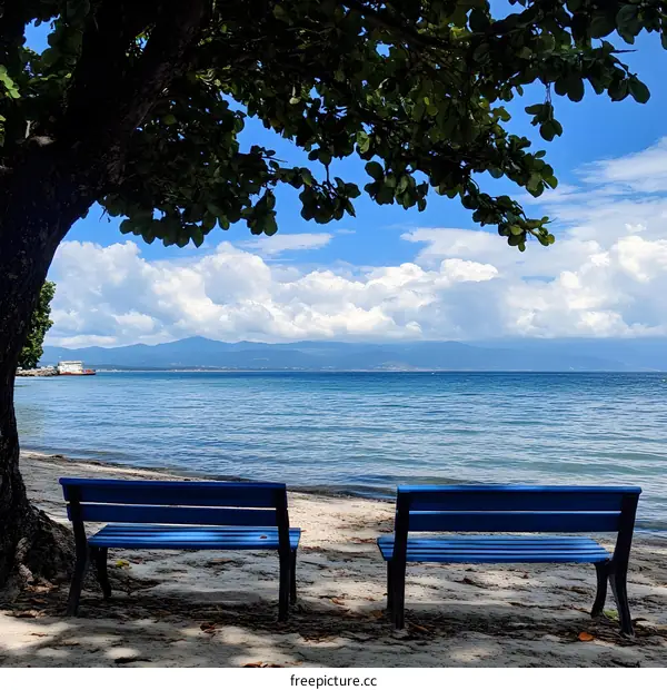 Two Blue Benches Facing the Ocean and Mountains