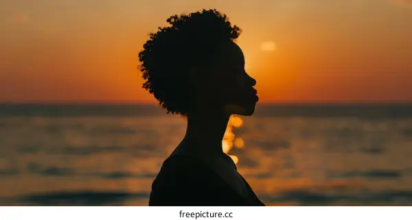 Silhouette of a woman with curly hair watching the sunset over the ocean