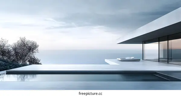 Modern Minimalist Home With Infinity Pool and Ocean View