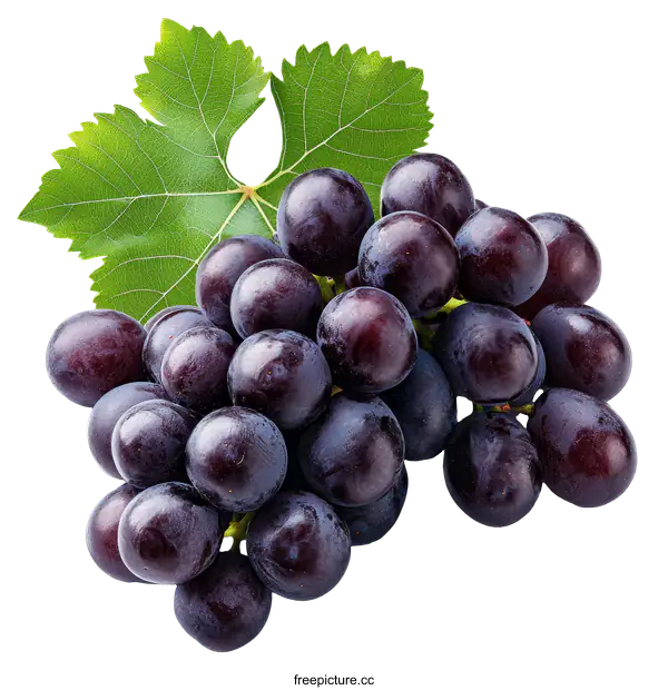 [Transparent Background PNG]Fresh Dark Purple Grapes with Leaf