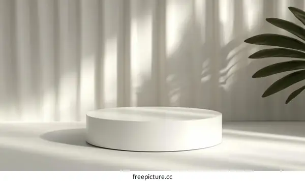 White Cylindrical Podium Display with Natural Light