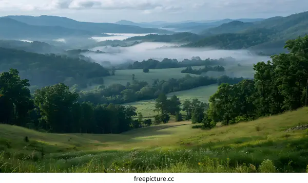 Beautiful green hills and valleys