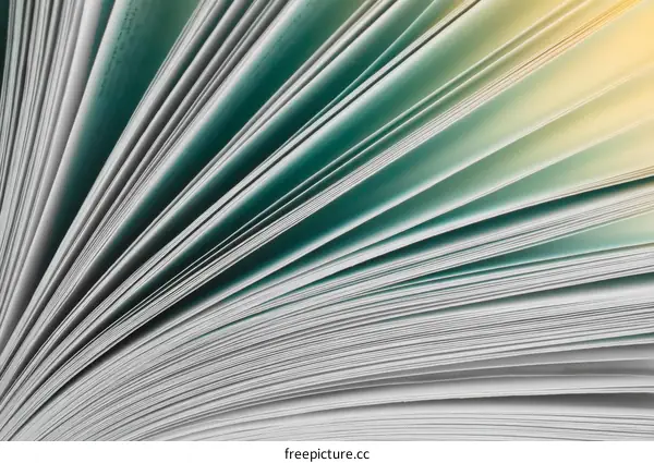 Close-up View of Open Book Pages