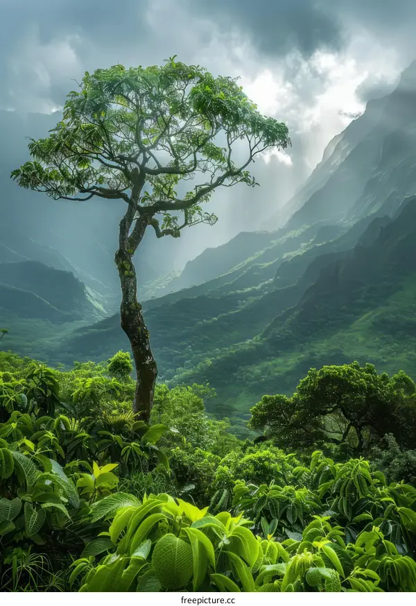 Solitary Tree in Verdant Valley