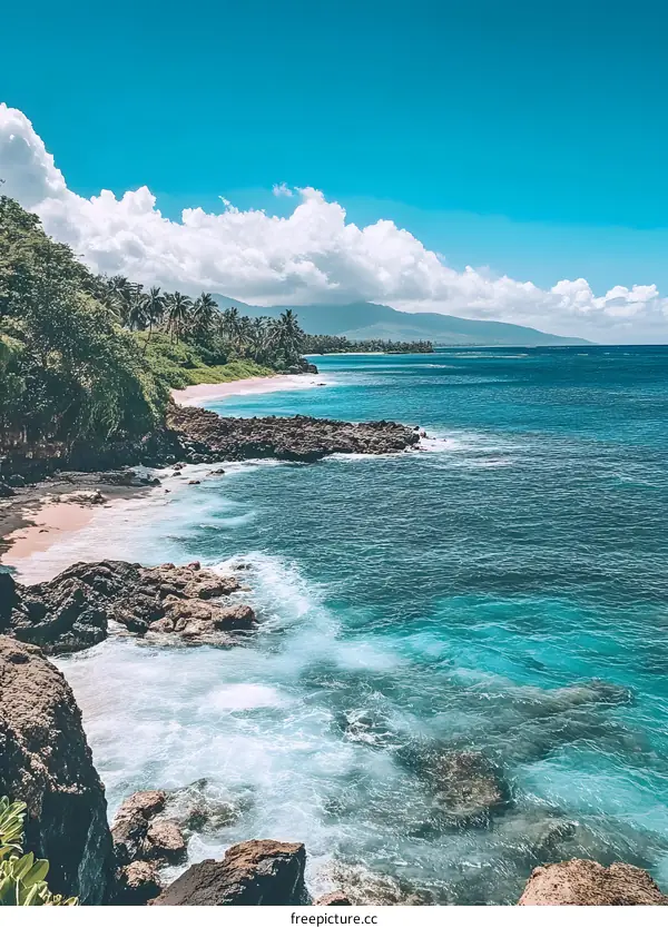 Tropical Beach Landscape with Clear Blue Water and Lush Green Vegetation