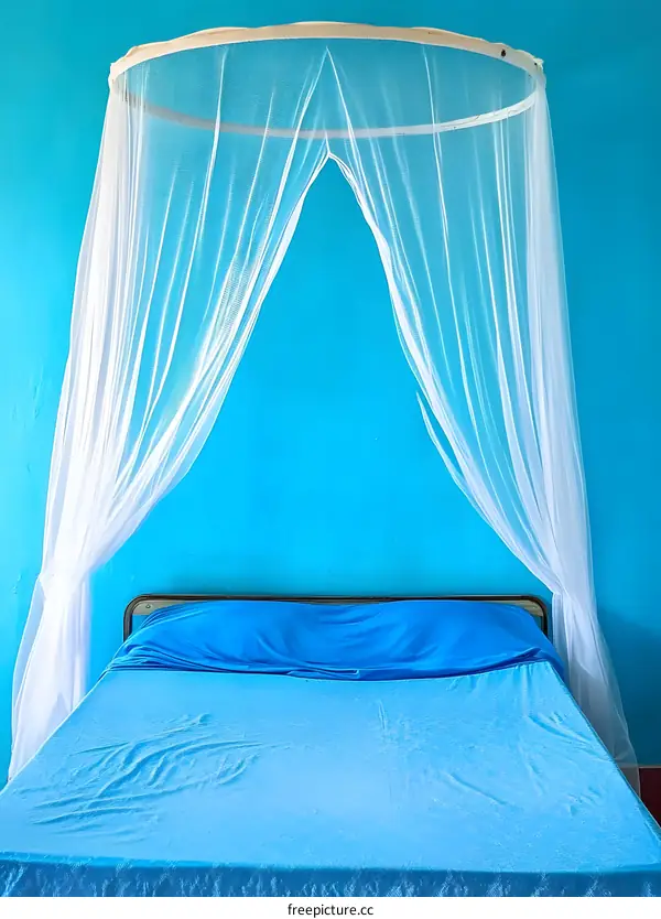 Blue Wall Bed with White Canopy