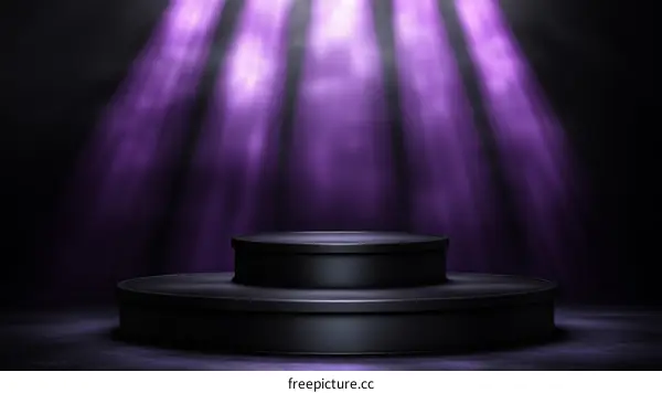 Dark Purple Stage Product Display