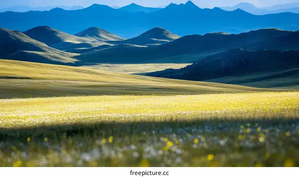Mountain Meadow Landscape at Sunrise