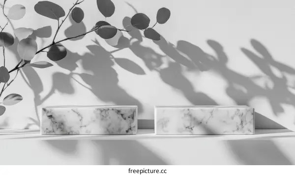 Elegant Marble Display Stand with Natural Light and Shadow
