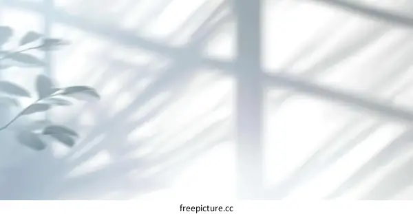 Abstract Shadows on White Wall Through Window