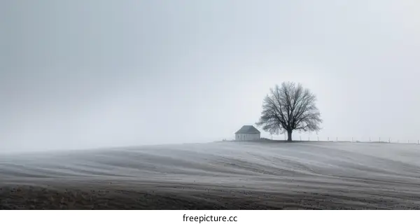Small house and tree in the middle of a large snow field