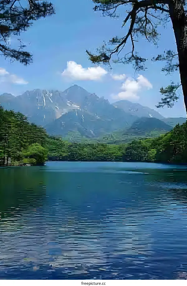 Serene Mountain Lake View