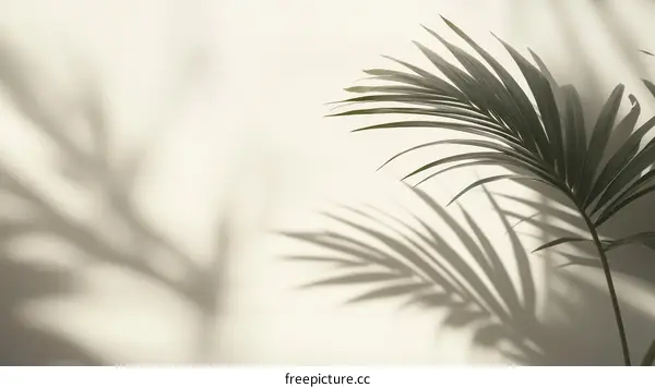 Elegant Palm Leaf Shadows on a Light Beige Wall