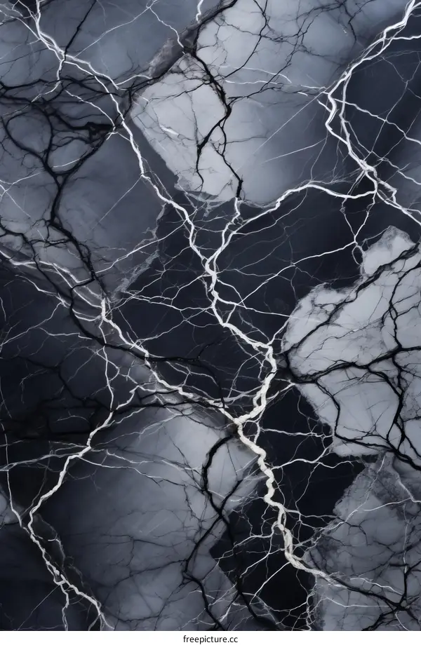 Black and white marble texture with veins