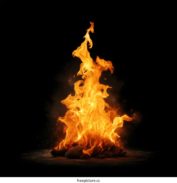 Fiery Flames Against a Dark Background