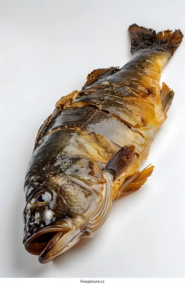 Close-up of a grilled fish